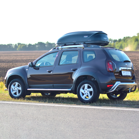 Накладки на двери (молдинги) (4 шт) (ABS) Renault Duster (2012-2020 г.в.) купить недорого с доставкой в Томилино