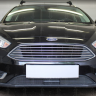Защита радиатора "Standart" Ford Focus III рестайлинг (2014-2019) под датчик ACS+ASLD, чёрная купить недорого с доставкой в Томилино